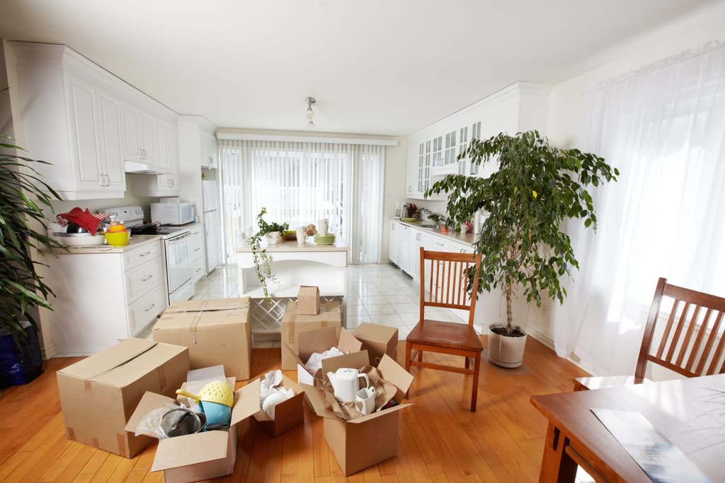Move-In Cleaning